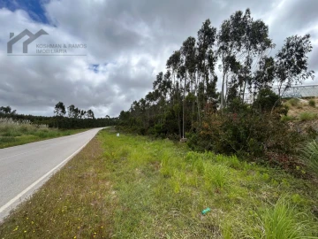 Terreno Agricola ou Rústico para Venda em Silveira
