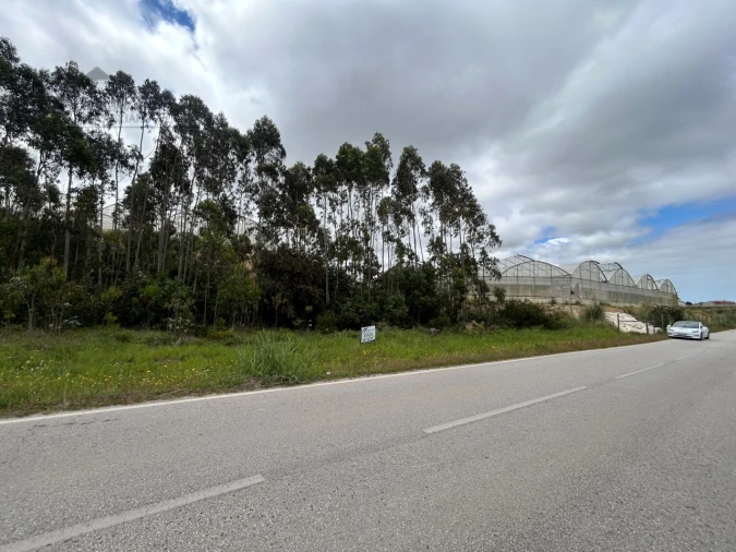Terreno Agricola ou Rústico para Venda em Silveira Foto 3