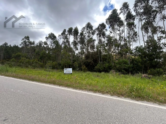 Terreno Agricola ou Rústico para Venda em Silveira Foto 4