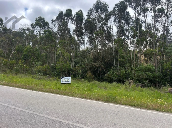 Terreno Agricola ou Rústico para Venda em Silveira Foto 7