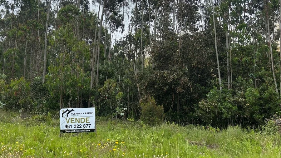 Terreno Agricola ou Rústico para Venda em Silveira