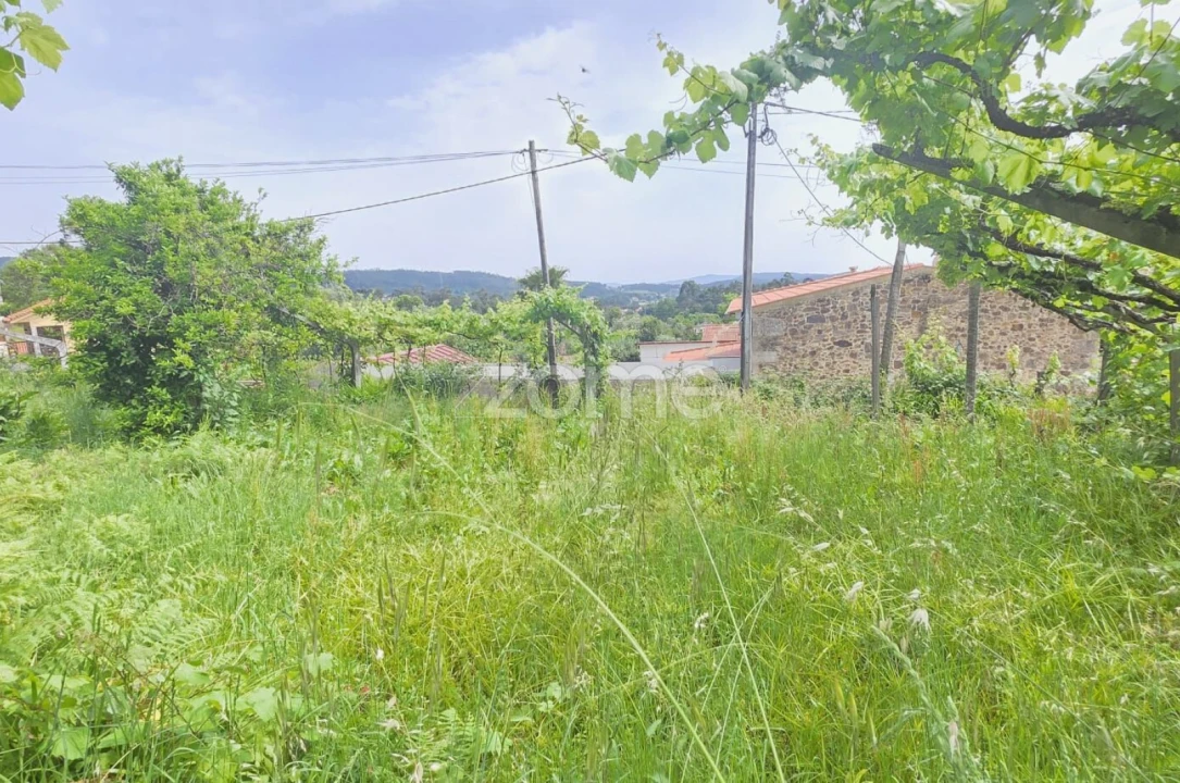Moradia T5 para Venda em Anais Foto 22