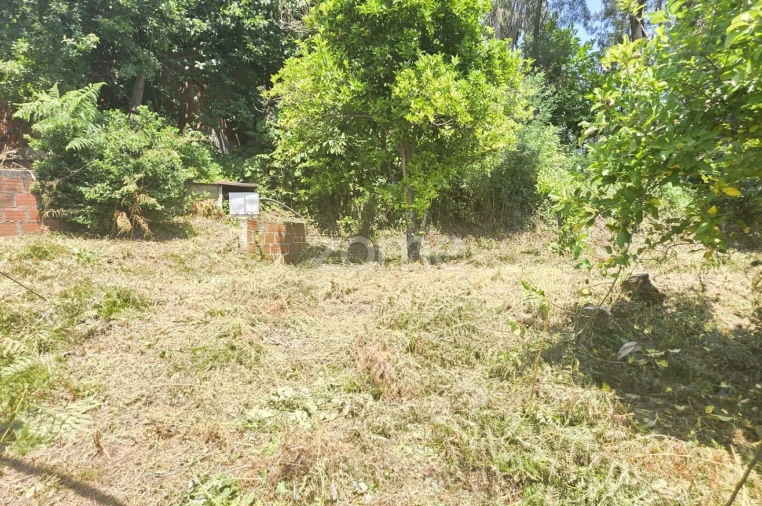 Moradia T5 para Venda em Anais Foto 23