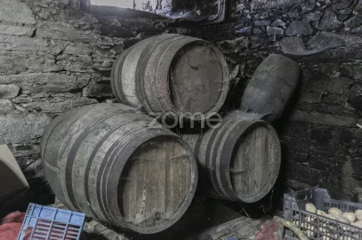 Quinta T4 para Venda em Fontelas