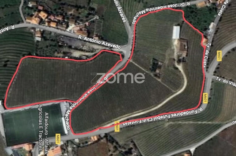 Quinta T4 para Venda em Fontelas Planta 1