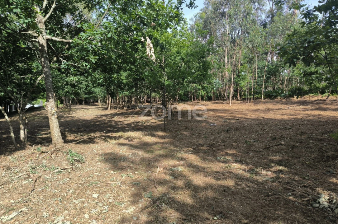 Terreno para Venda em Lago Foto 4