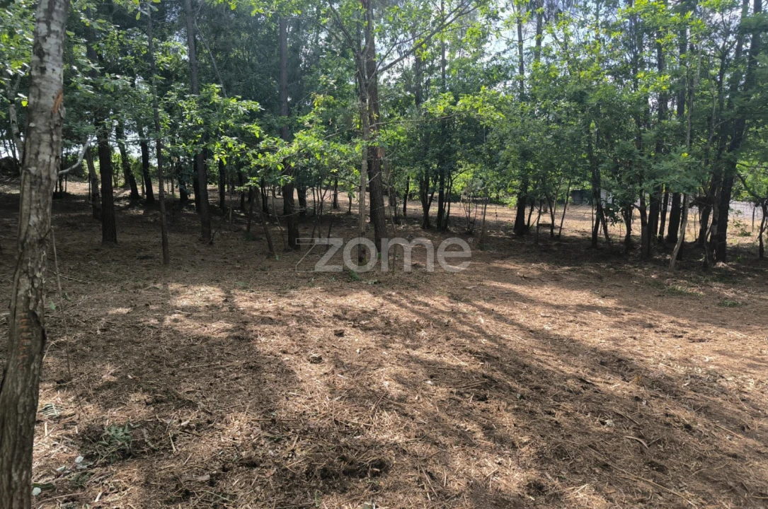 Terreno para Venda em Lago Foto 5