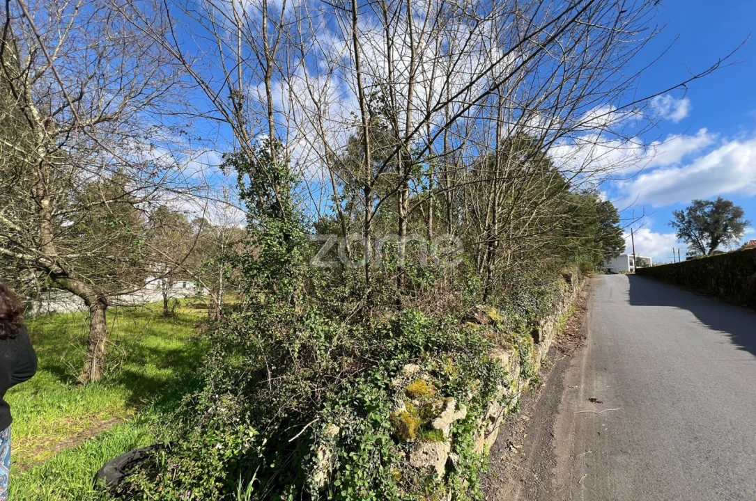 Terreno para Venda em Lago Foto 1