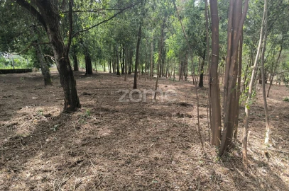 Terreno para Venda em Lago