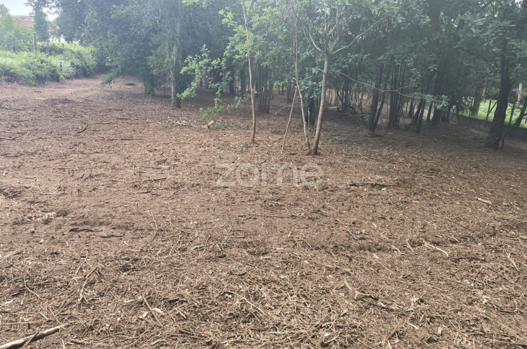 Terreno para Venda em Lago Foto 7