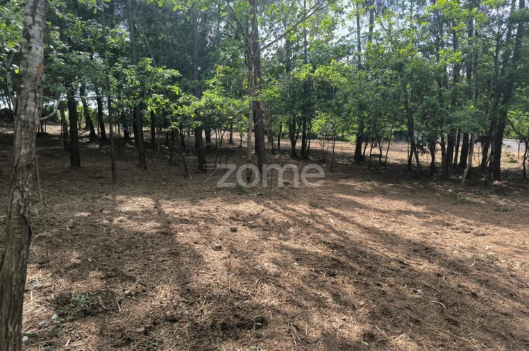 Terreno para Venda em Lago Foto 5