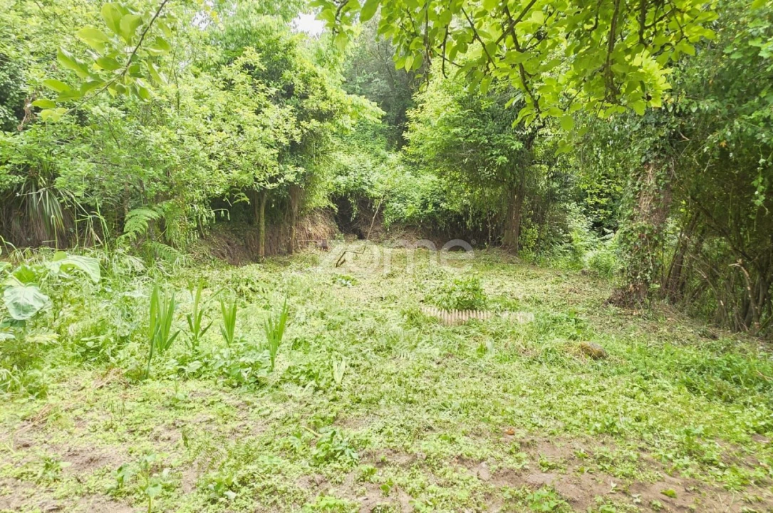 Moradia T2 para Venda em Ribeira do Neiva Foto 9