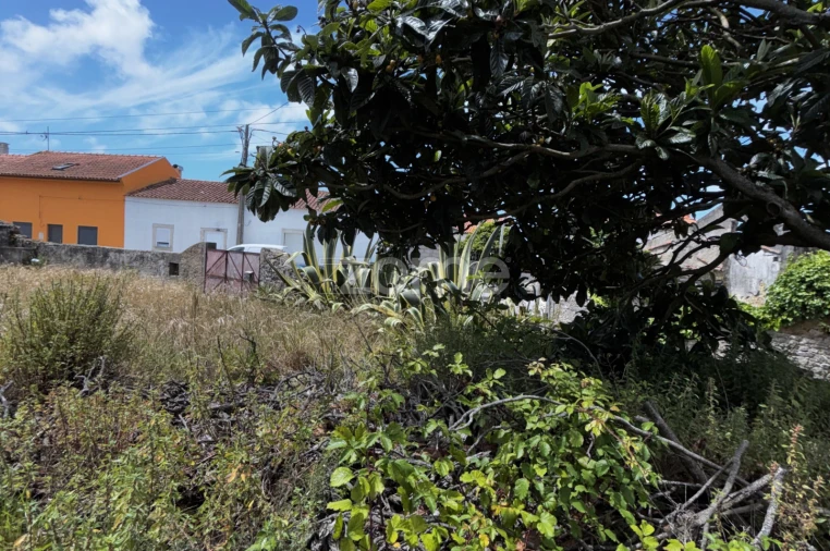 Moradia T4 para Venda em Quiaios Foto 36