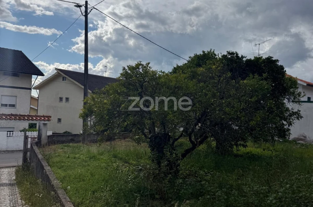 Terreno para Venda em Santo Antonio dos Olivais Foto 10
