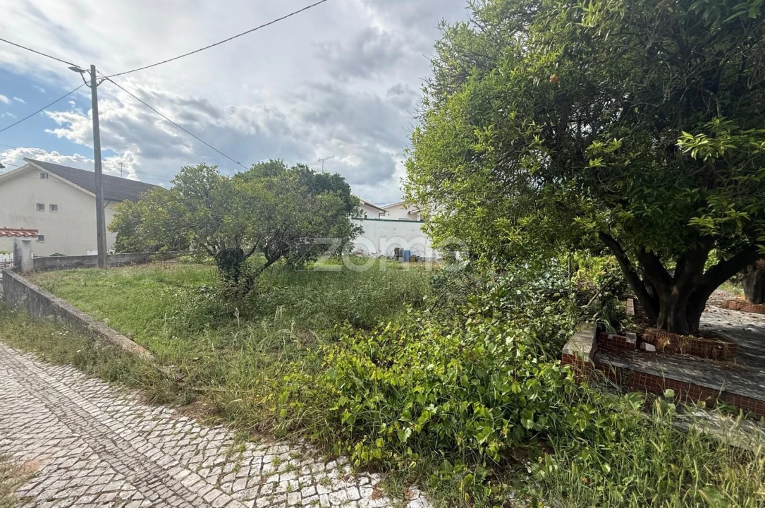 Terreno para Venda em Santo Antonio dos Olivais Foto 4