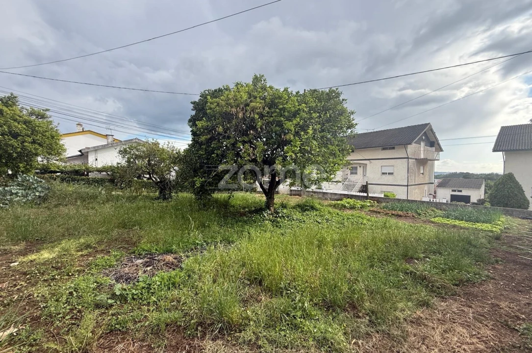 Terreno para Venda em Santo Antonio dos Olivais Foto 3