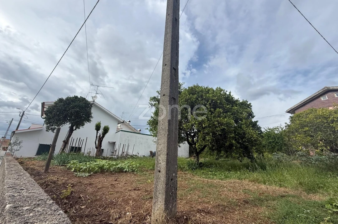 Terreno para Venda em Santo Antonio dos Olivais Foto 6