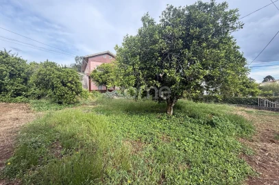 Terreno para Venda em Santo Antonio dos Olivais