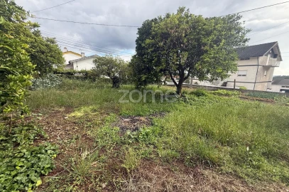 Terreno para Venda em Santo Antonio dos Olivais