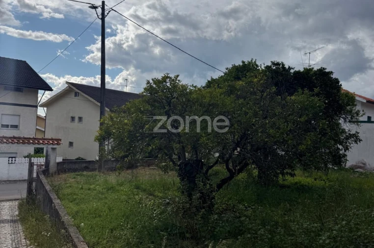 Terreno para Venda em Santo Antonio dos Olivais Foto 10