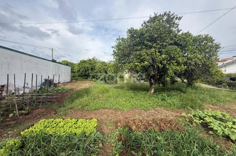 Terreno para Venda em Santo Antonio dos Olivais Foto 2
