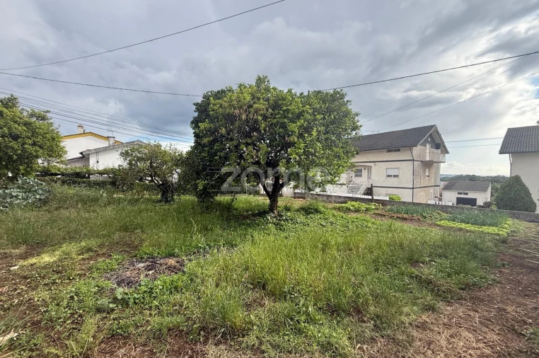 Terreno para Venda em Santo Antonio dos Olivais Foto 3
