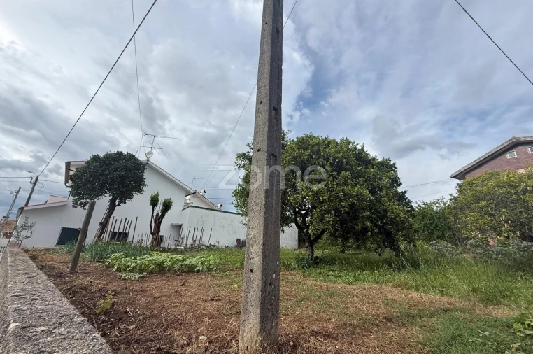 Terreno para Venda em Santo Antonio dos Olivais Foto 6