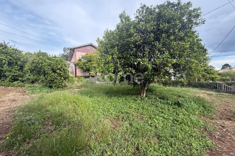 Terreno para Venda em Santo Antonio dos Olivais Foto 12