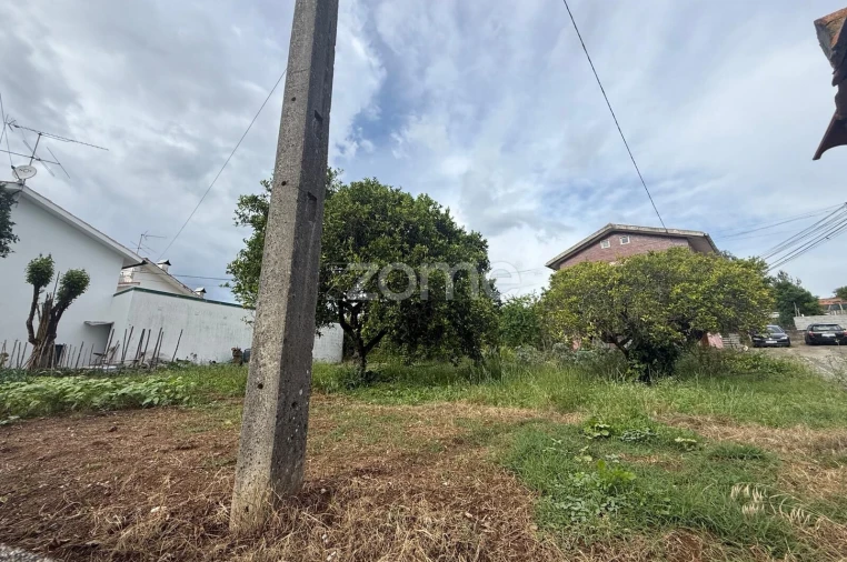 Terreno para Venda em Santo Antonio dos Olivais Foto 15