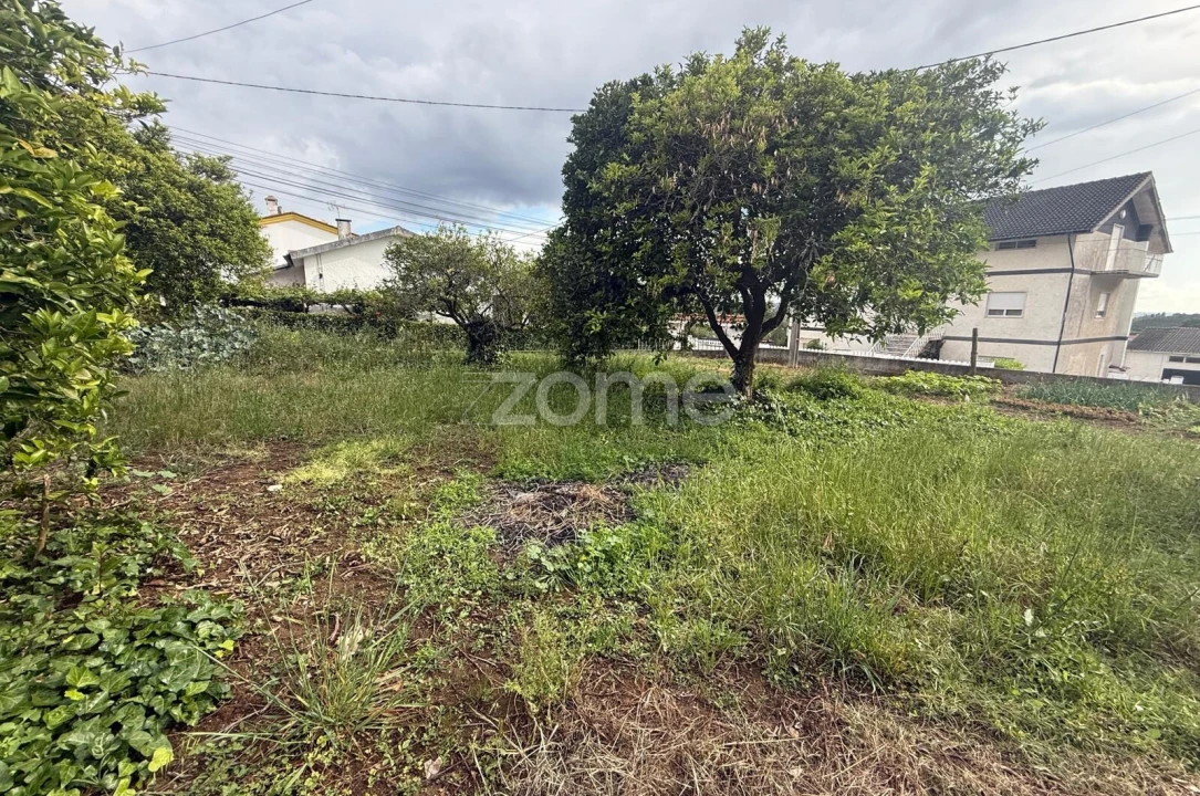 Terreno para Venda em Santo Antonio dos Olivais Foto 8