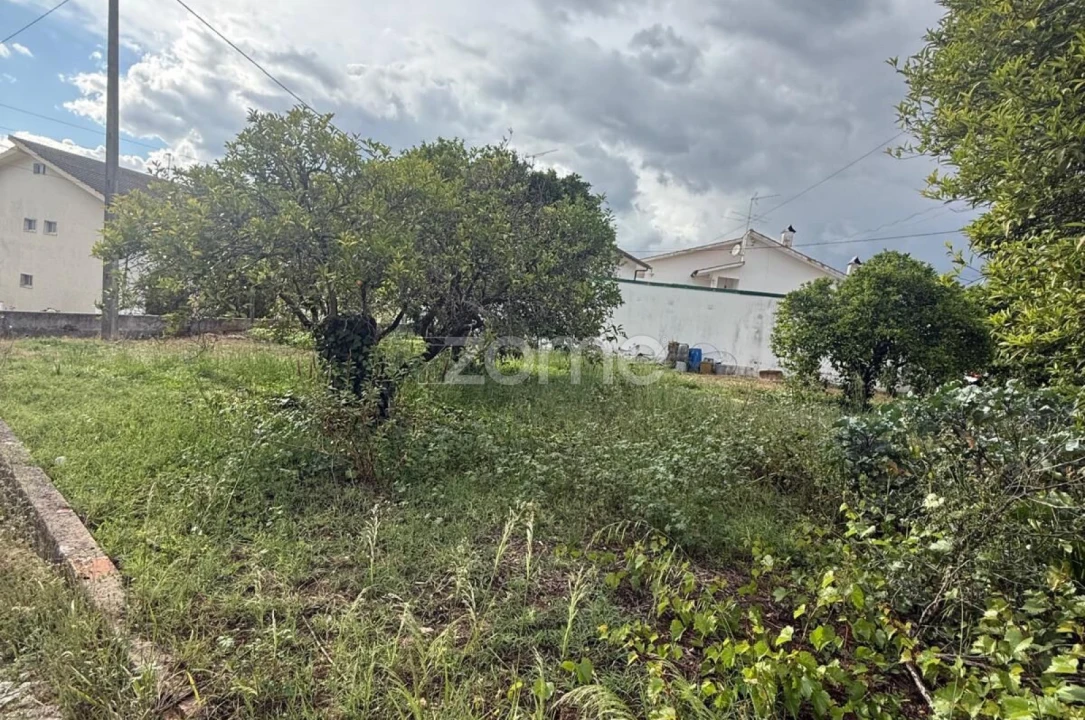 Terreno para Venda em Santo Antonio dos Olivais Foto 14