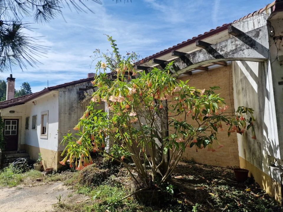 Moradia T0 para Venda em Figueiró dos Vinhos e Bairradas Foto 1
