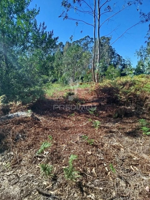 Terreno para Venda em Ovar, São João, Arada e São Vicente de Pereira Jusã