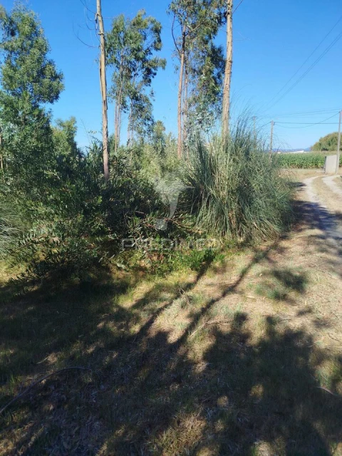 Terreno para Venda em Ovar, São João, Arada e São Vicente de Pereira Jusã