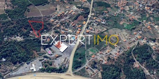 Terreno para Venda em São João de Lourosa