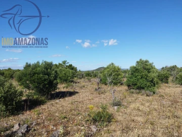 Terreno para Venda em São Bartolomeu de Messines