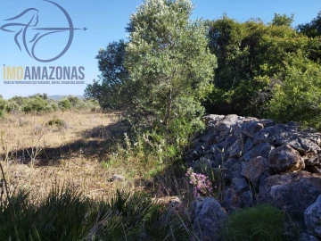 Terreno para Venda em São Bartolomeu de Messines
