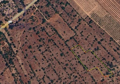 Terreno para Venda em São Bartolomeu de Messines