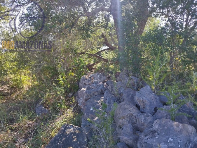 Terreno para Venda em São Bartolomeu de Messines Foto 20