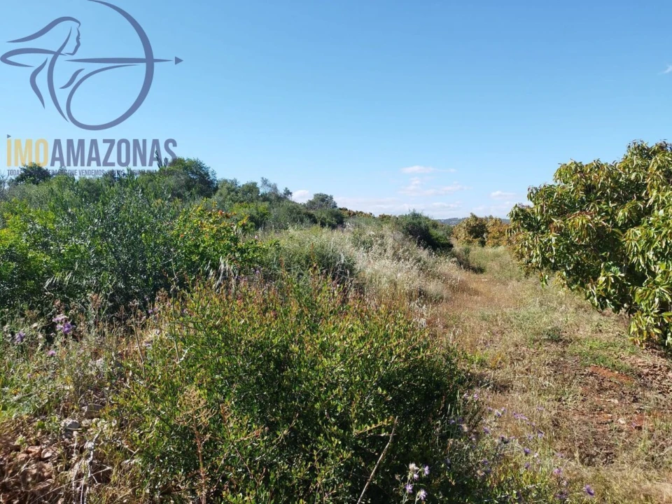Moradia T1 para Venda em São Bartolomeu de Messines Foto 14