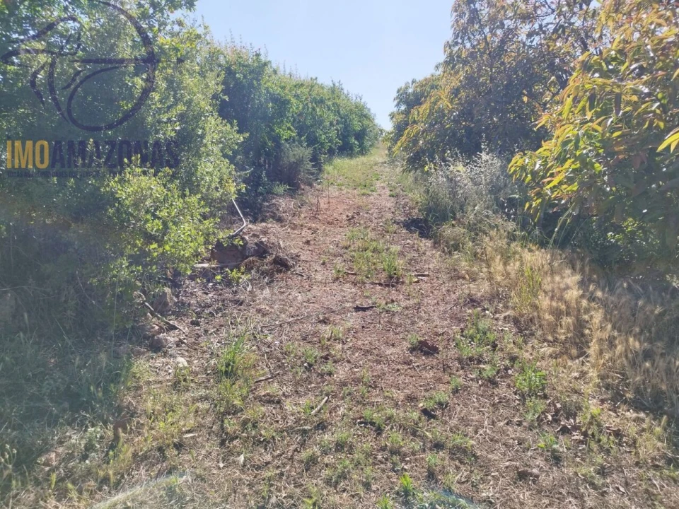 Moradia T1 para Venda em São Bartolomeu de Messines Foto 13