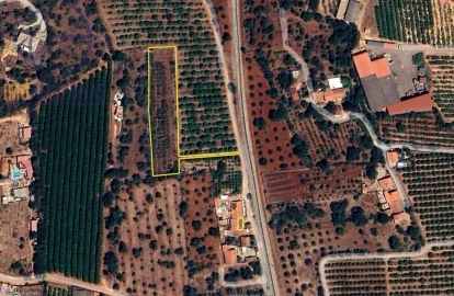 Moradia T1 para Venda em São Bartolomeu de Messines