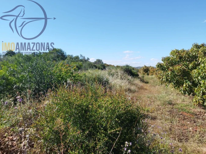 Moradia T1 para Venda em São Bartolomeu de Messines Foto 14