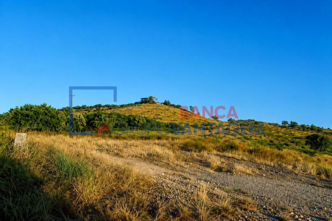 Terreno Agricola ou Rústico para Venda em Marvila, Ribeira Santarém, São Salvador, São Nicolau Foto 4