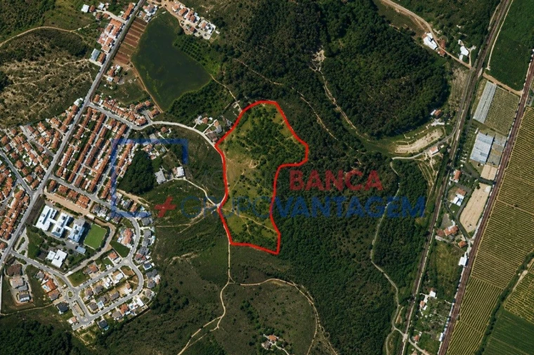 Terreno Agricola ou Rústico para Venda em Marvila, Ribeira Santarém, São Salvador, São Nicolau Foto 2
