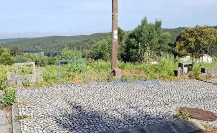 Terreno para Venda em Luso