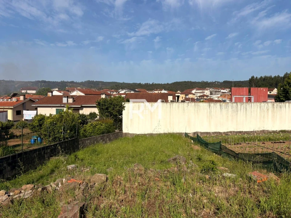 Terreno para Venda em Campo e Sobrado Foto 13