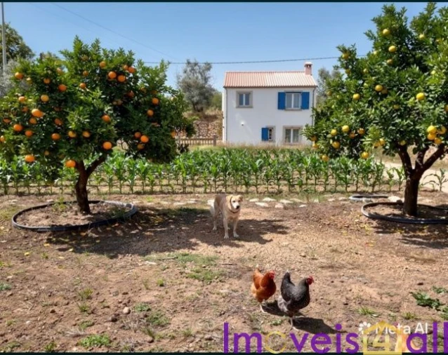 Quinta T1 para Venda em Vila Seca e Bem da Fé Foto 13
