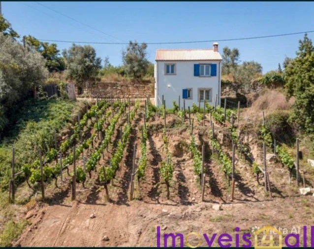 Quinta T1 para Venda em Vila Seca e Bem da Fé Foto 12