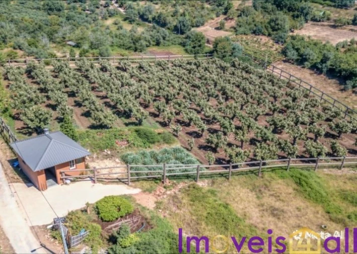 Quinta T1 para Venda em Vila Seca e Bem da Fé Foto 15